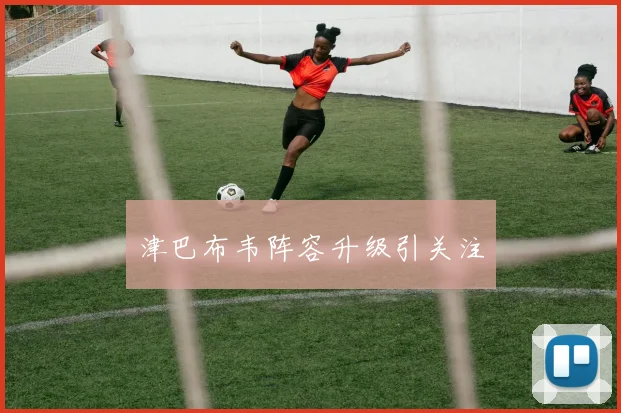 津巴布韦阵容升级引关注