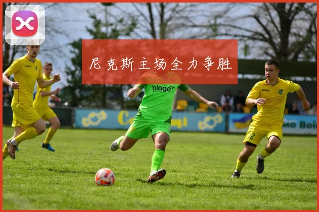 尼克斯主场全力争胜