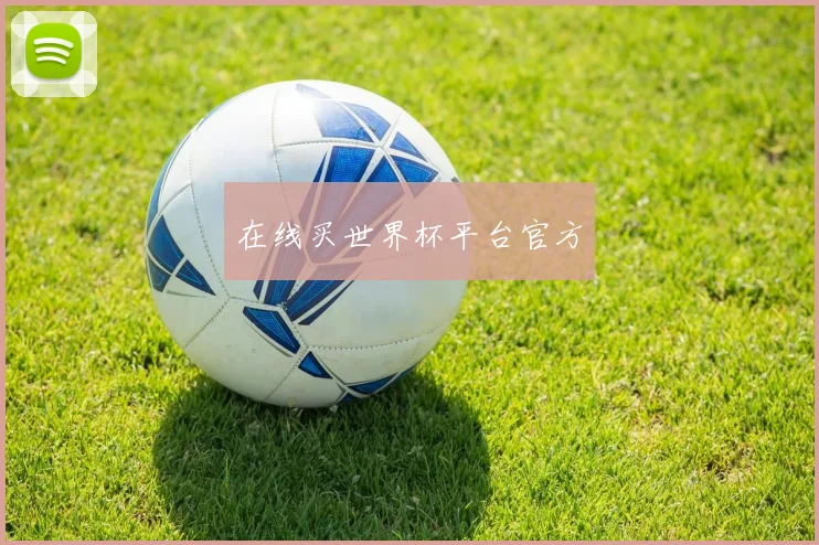 在线买世界杯平台官方