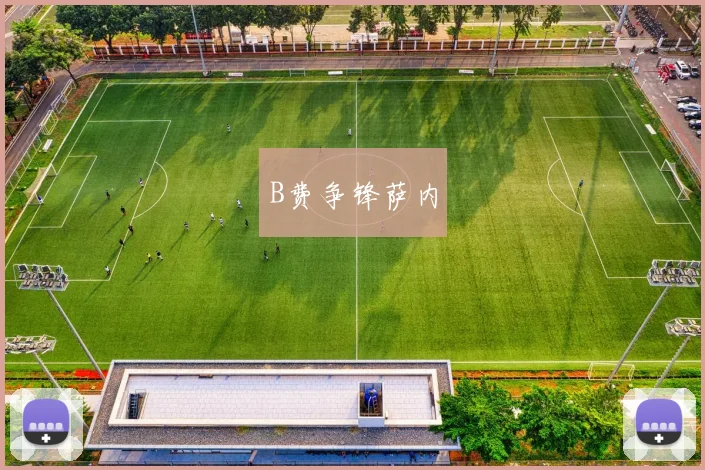 B费争锋萨内