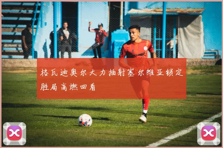 格瓦迪奥尔大力抽射塞尔维亚锁定胜局高燃回看