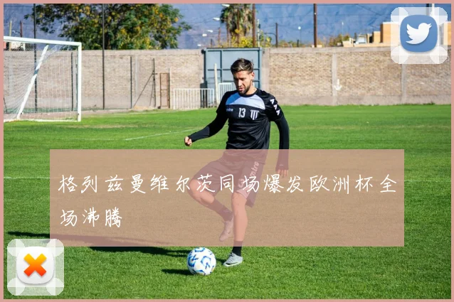 格列兹曼维尔茨同场爆发欧洲杯全场沸腾
