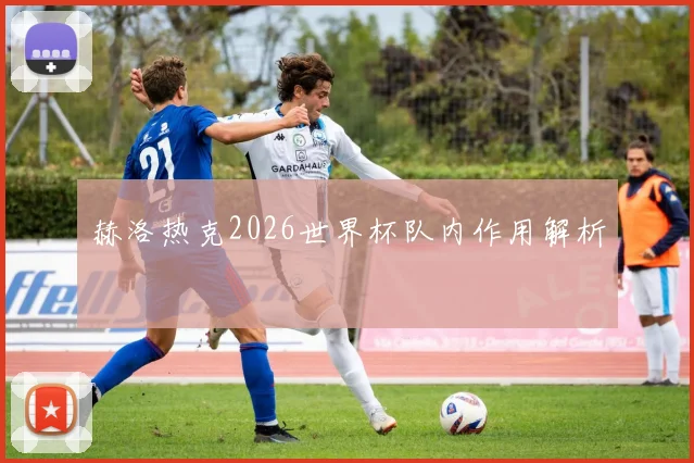 赫洛热克2026世界杯队内作用解析