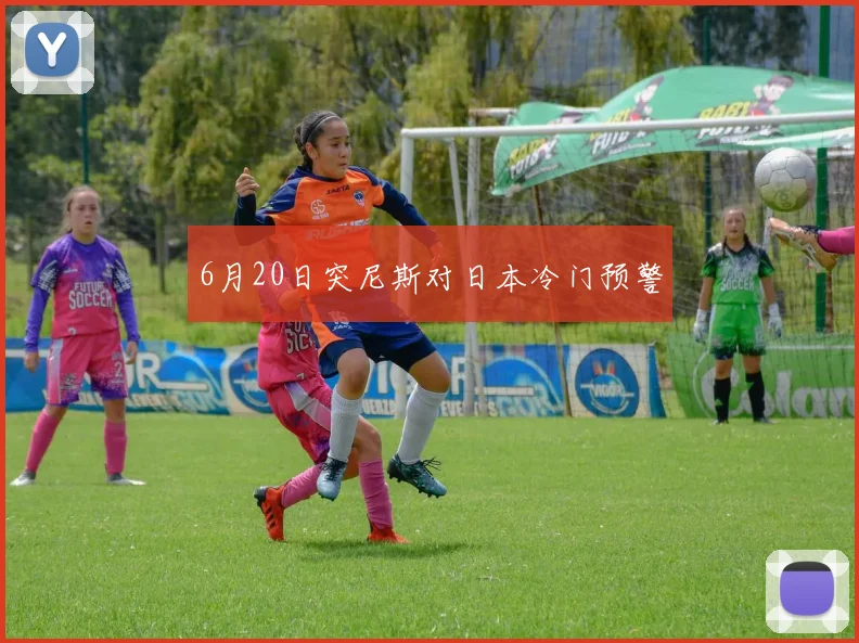 6月20日突尼斯对日本冷门预警