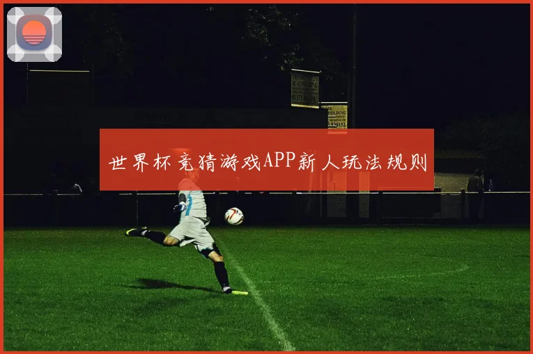 世界杯竞猜游戏APP新人玩法规则