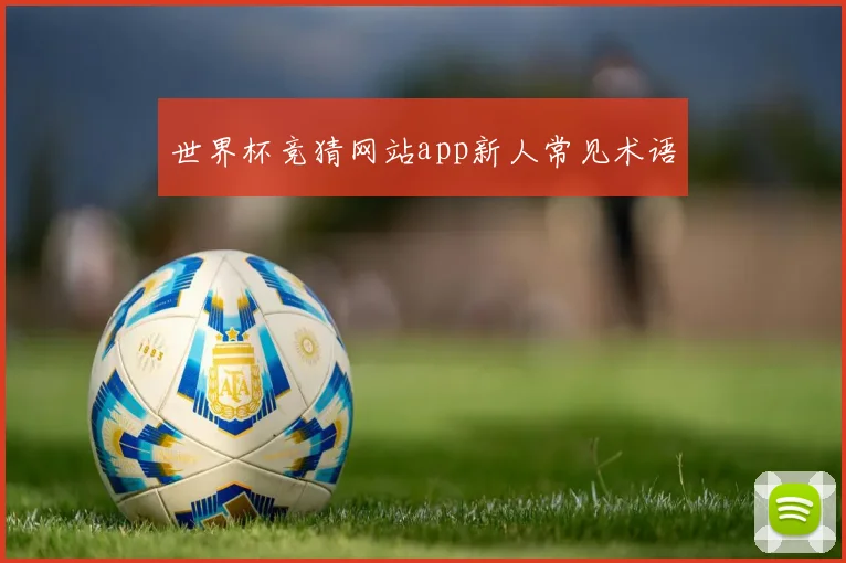 世界杯竞猜网站app新人常见术语