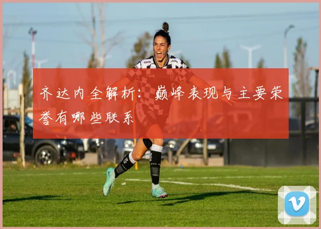 齐达内全解析：巅峰表现与主要荣誉有哪些联系