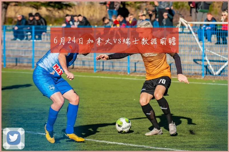 6月24日加拿大vs瑞士数据前瞻